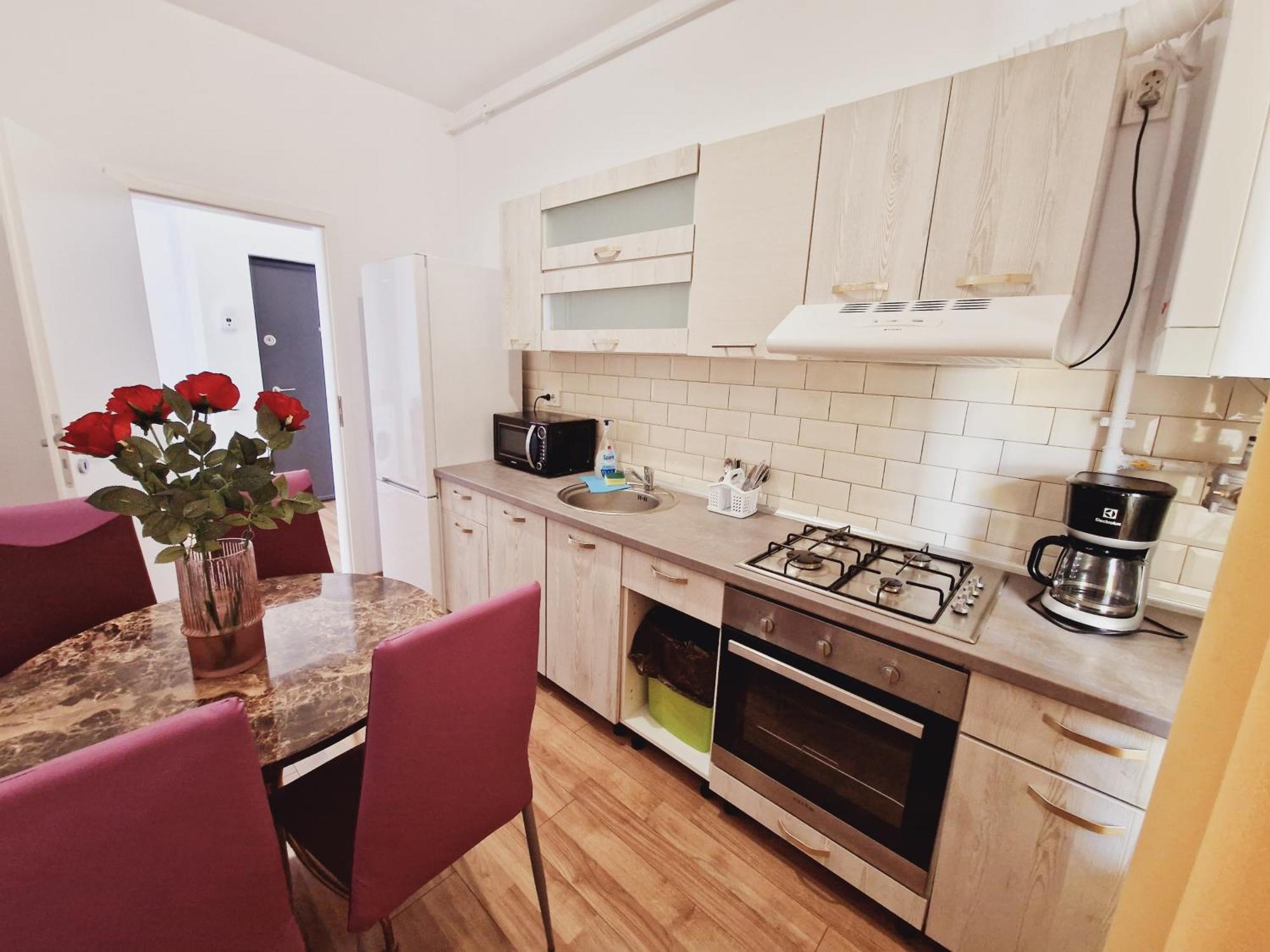 Ultracentral 5* Boutique Hotel Style Apartment. Brand New. 2 Rooms. Spacious. Free Parking 克卢日-纳波卡 外观 照片